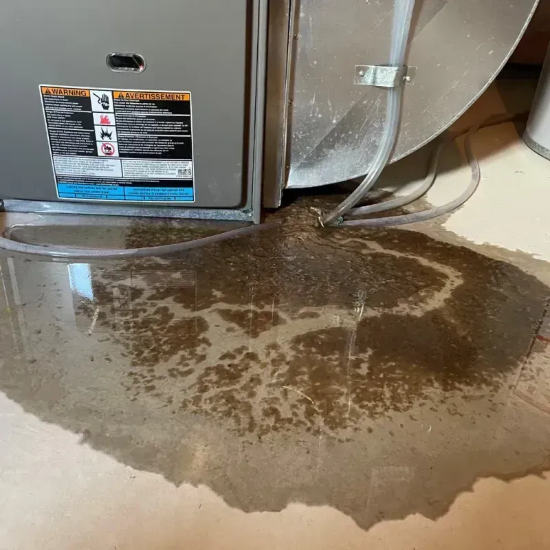 Appliance Leak Cleanup in Charlevoix County, MI